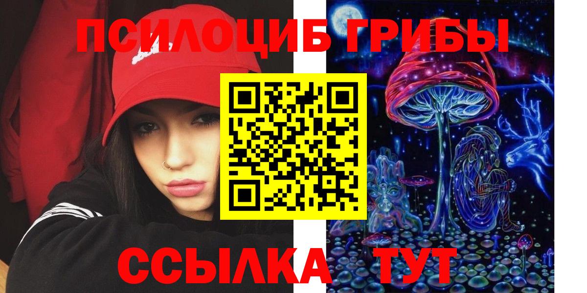 Псилоцибиновые грибы Psilocybe Алексеевка