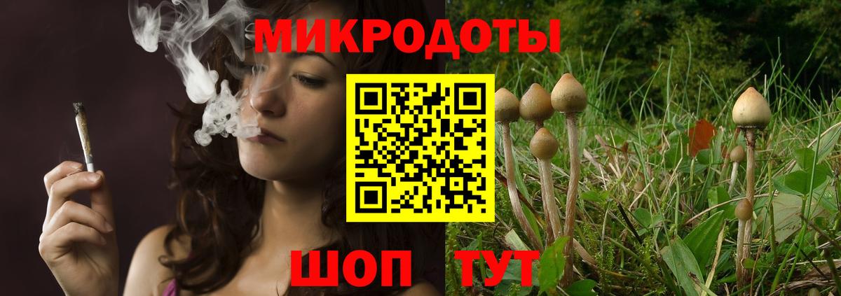 Галлюциногенные грибы прущие грибы  Галлюциногенные грибы Psilocybe  Вход с VPN  Алексеевка 